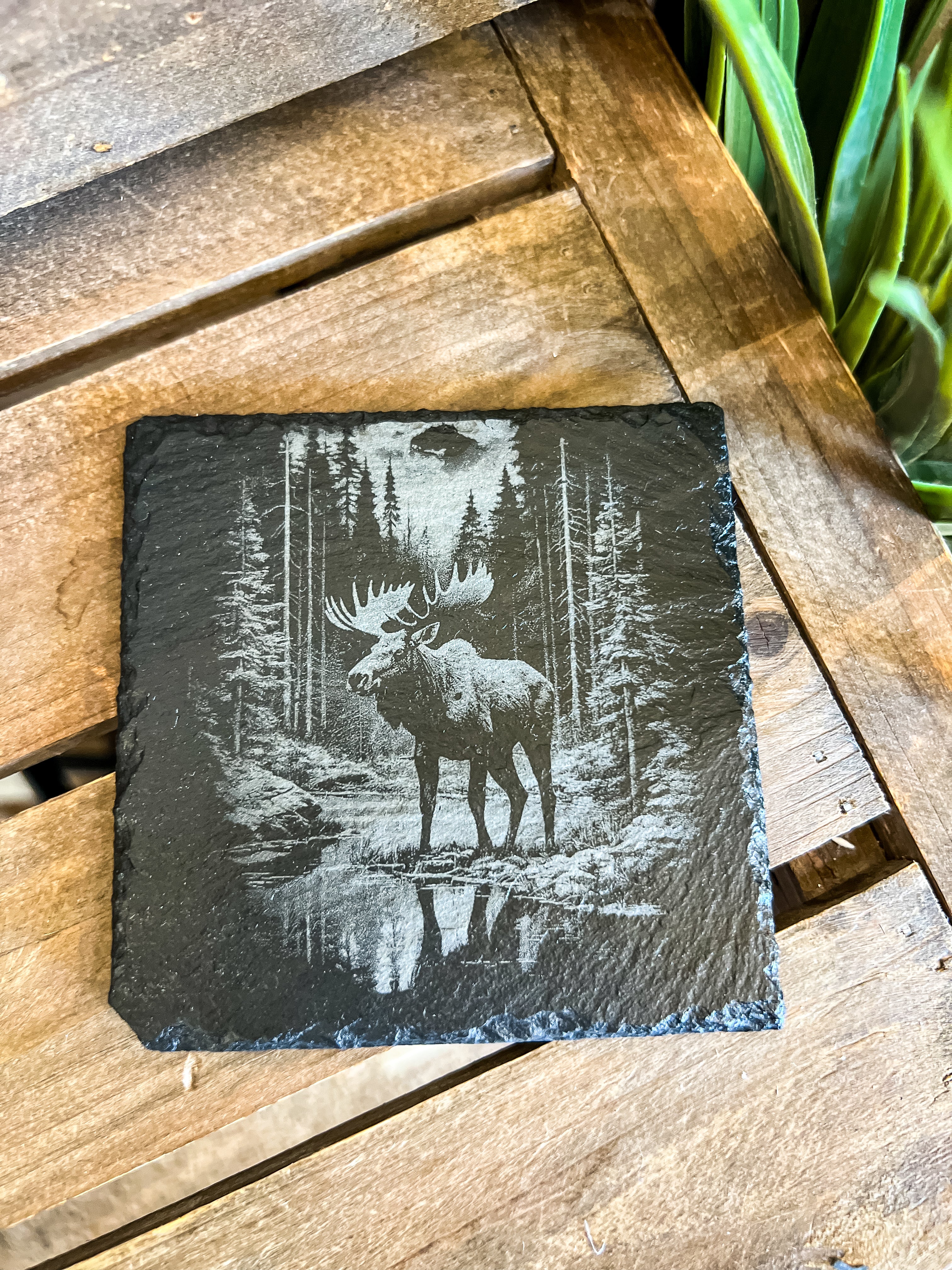 Moose in Woods on Lakeshore Engraved Coaster