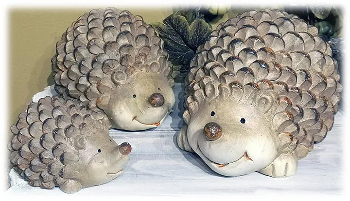 Playful Hedgehogs