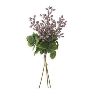 Purple Berry & Herb Bundle