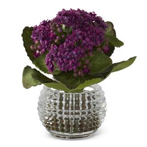 Purple Kalanchoe in Pressed Glass Vase