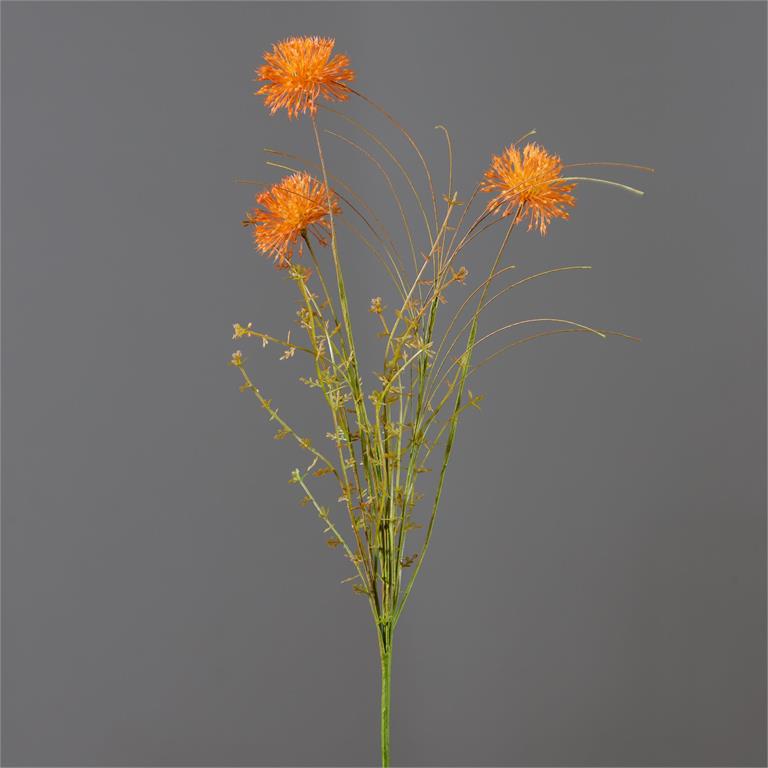 Rust Allium Branch Stem