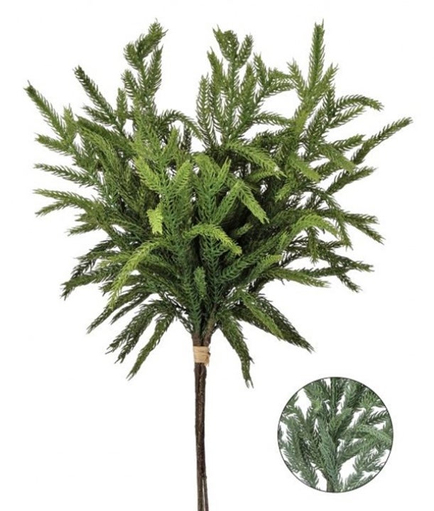 Sage Green Norfolk Pine Bundle