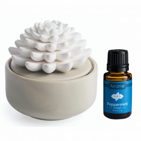 Candle Warmers Etc. Diffuser Succulent Porcelain Passive Diffuser
