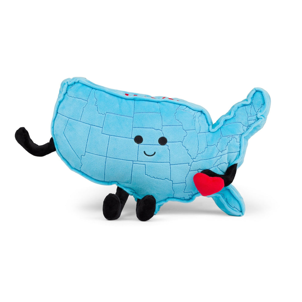 USA Mascot Map Pillow