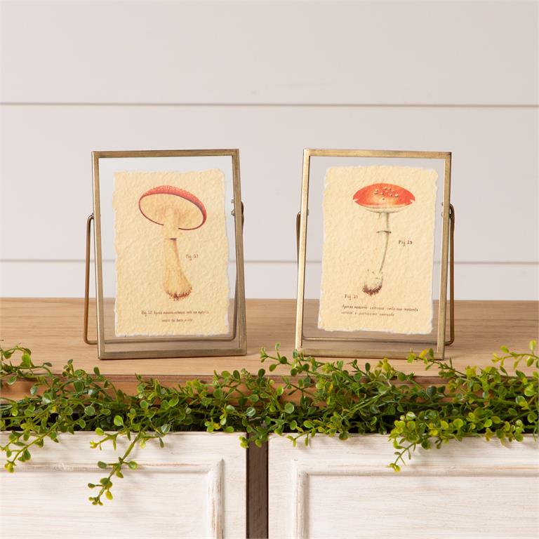 Vintage Mushrooms in Gold Floating Frames