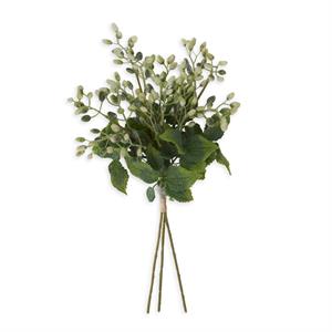 White Berry & Herb Bundle