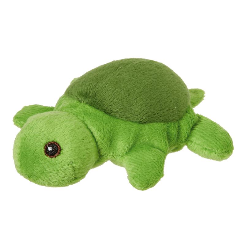 Wild Beans Sea Turtle 6