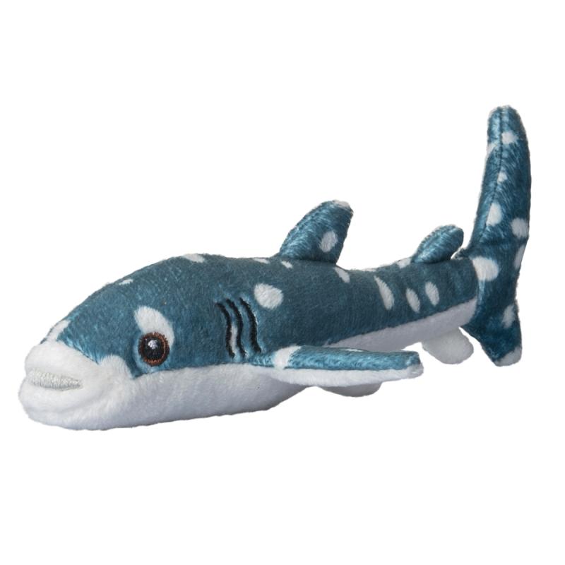 Wild Beans Whale Shark 6
