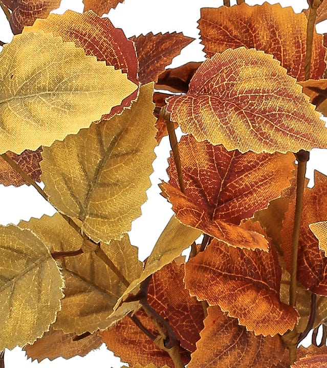 Autumn Beech Leaf Stem