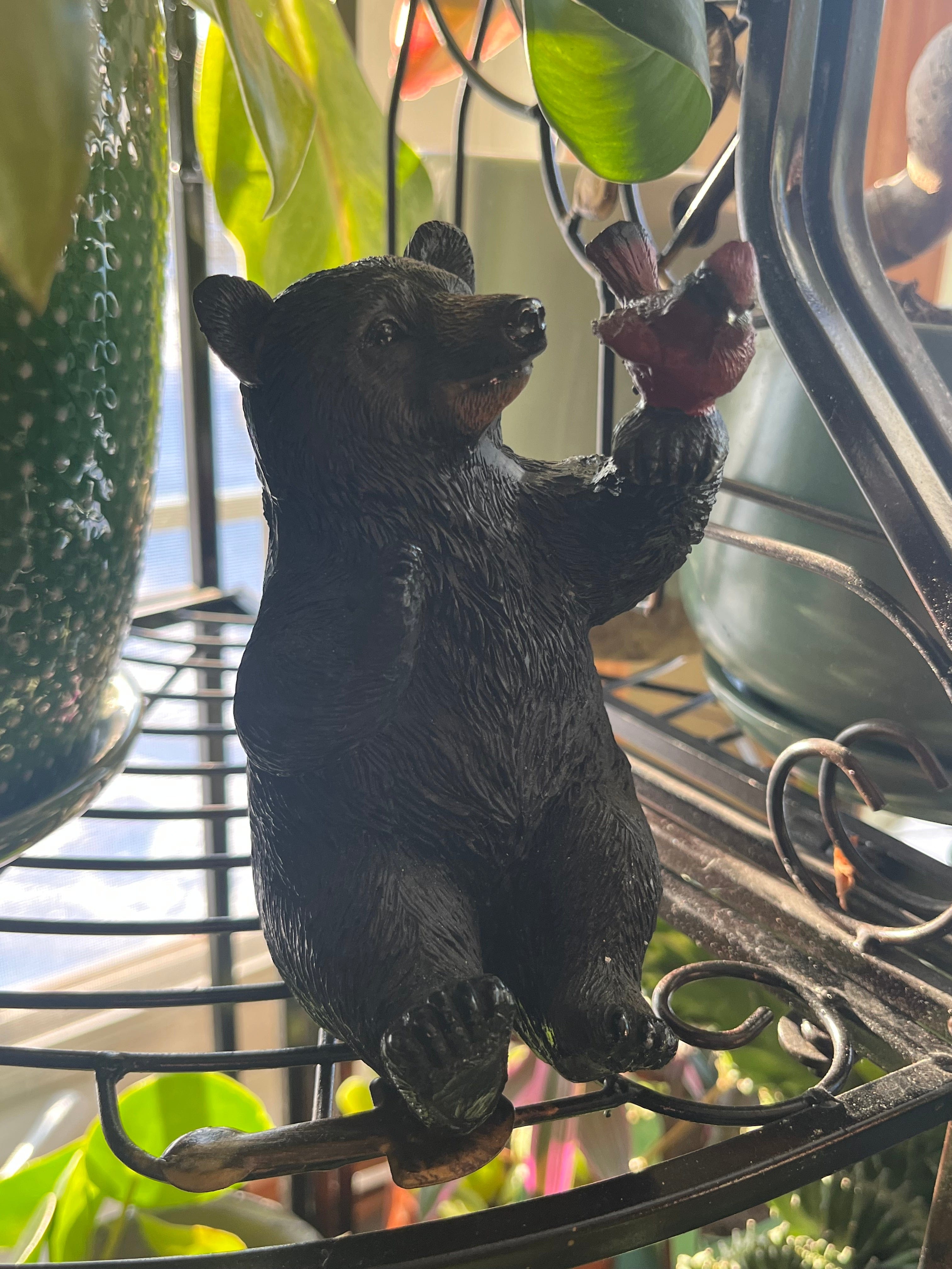 Black Bear with Cardinal