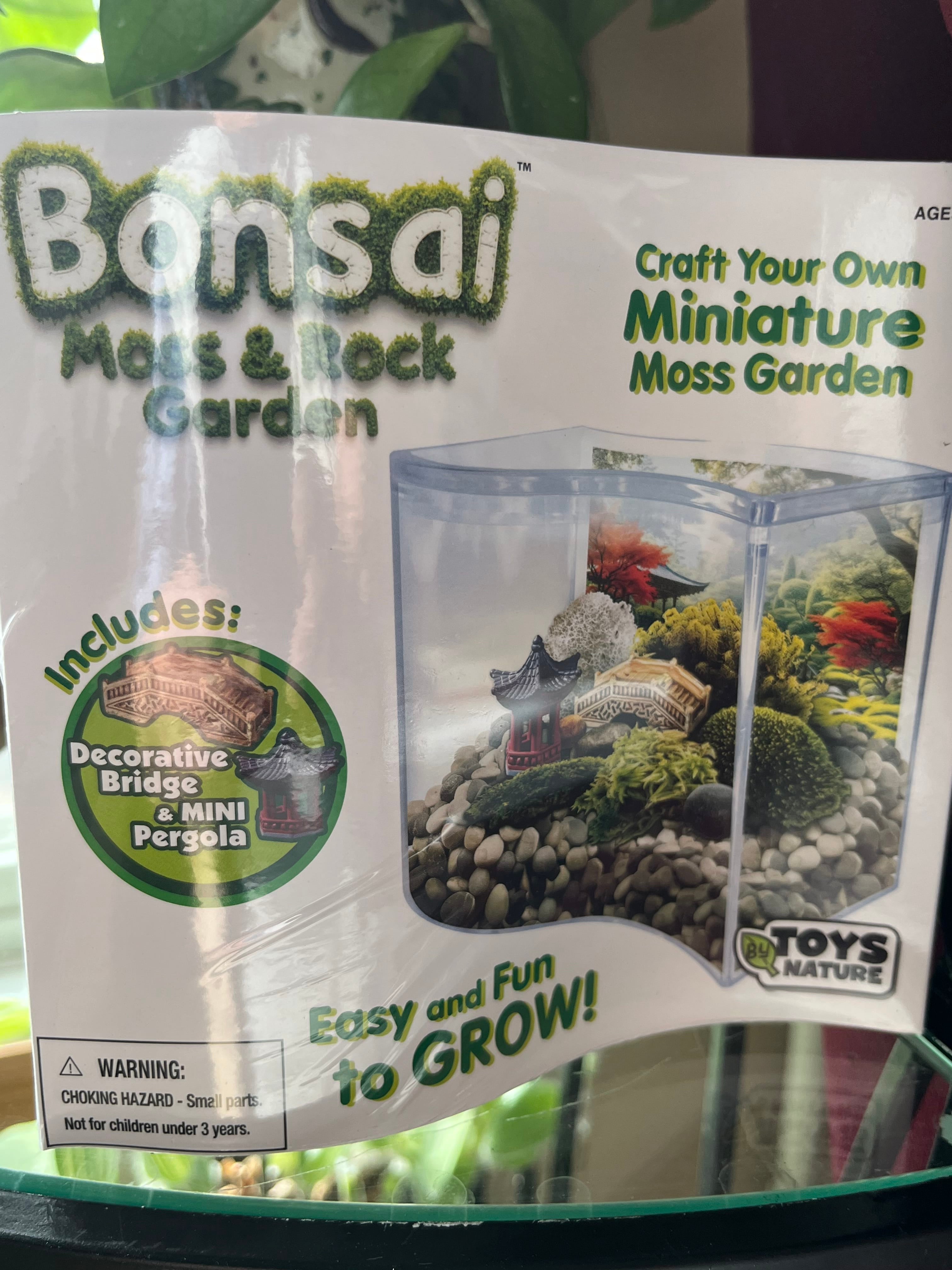 Bonsai Moss Rock Garden Wave Terrarium