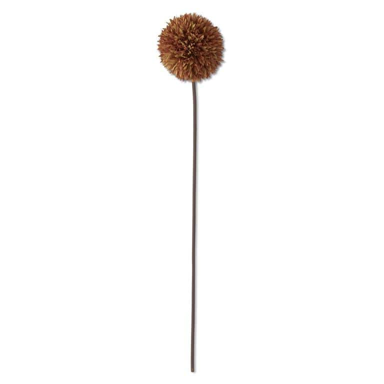 Brown Allium Stem