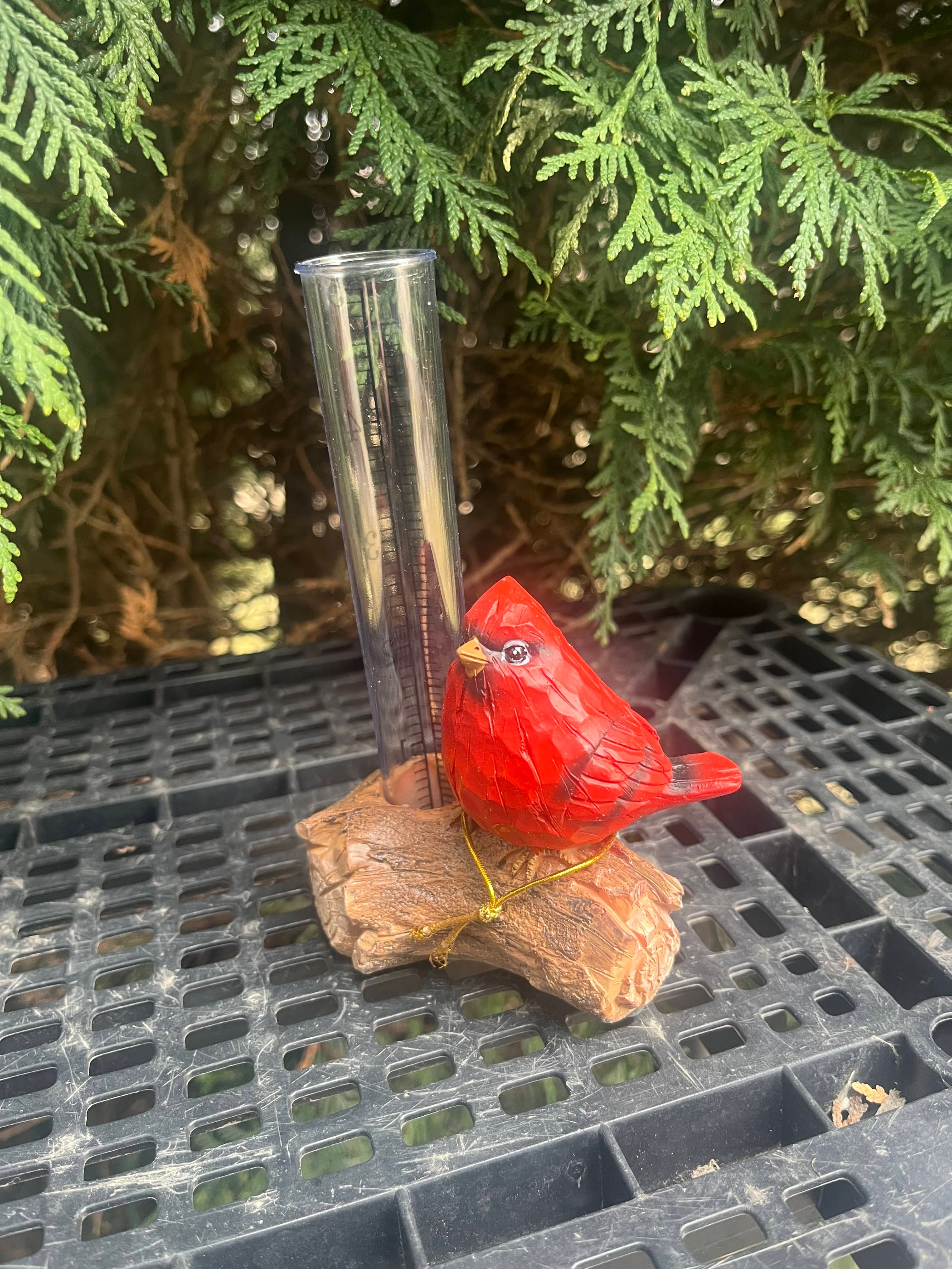Cardinal Rain Gauge