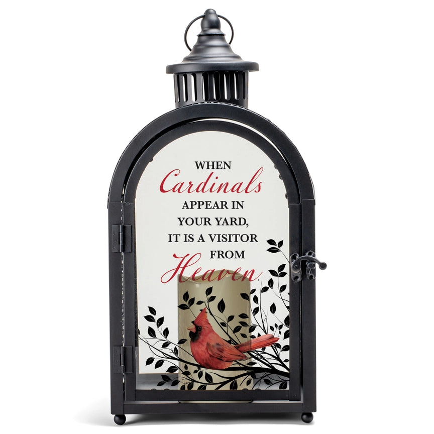 Bereavement Lantern Cardinals Appear/Visitor from Heaven