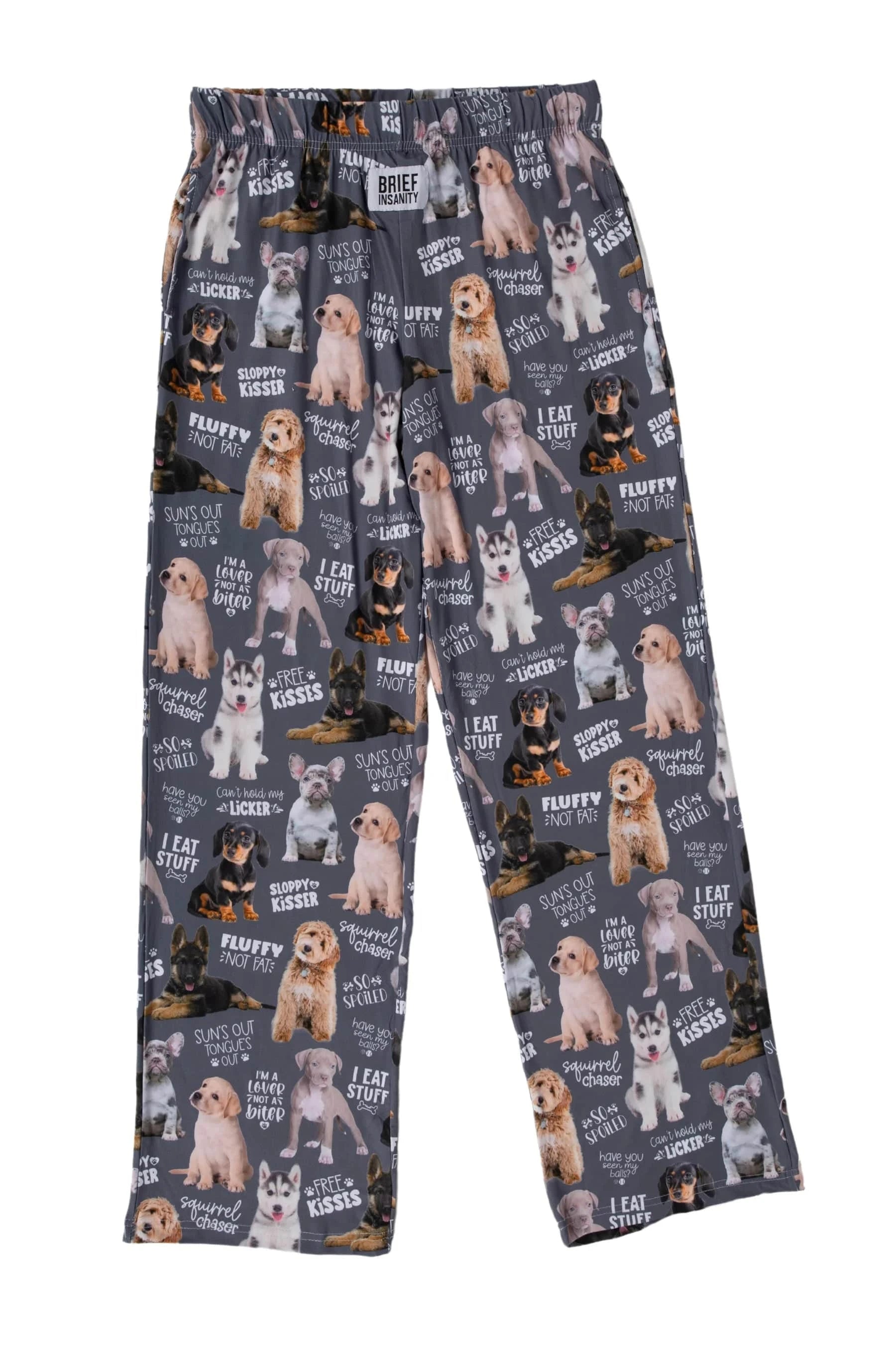 Brief Insanity Lounge Pants Chalkboard Dog Lounge Pants