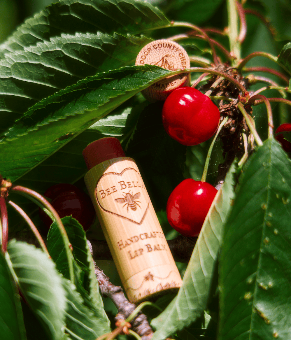 Cherry Lip Balm  |  6 Pack