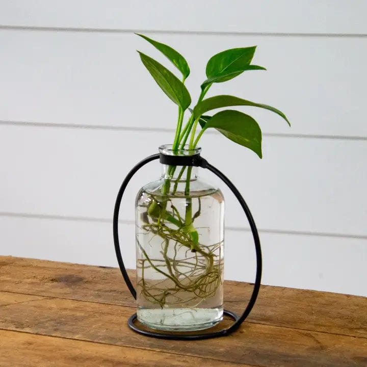 Clear Stem Vase with Black Metal Stand