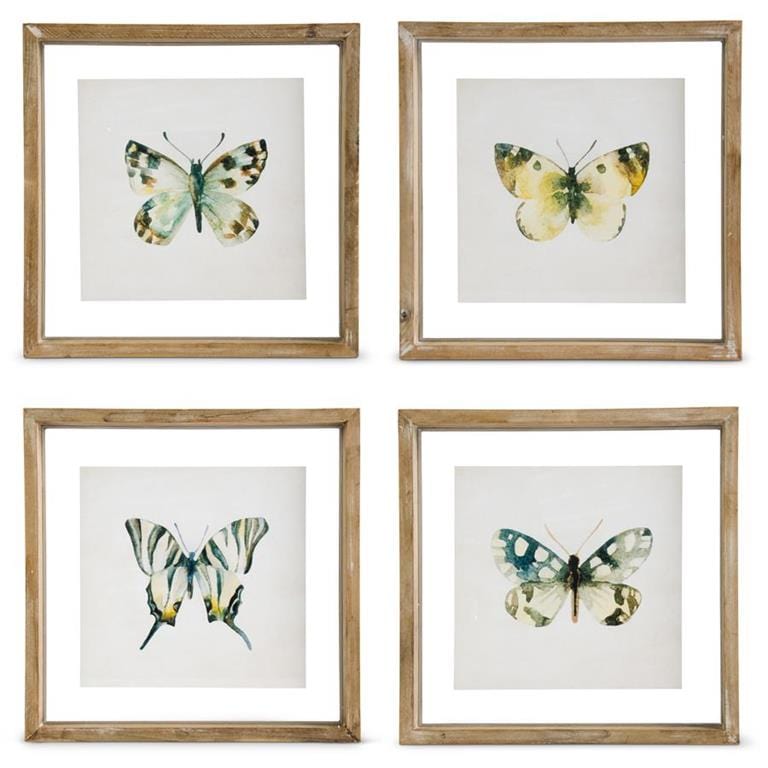 Colorful Butterfly in Whitewashed Shadowbox Frame