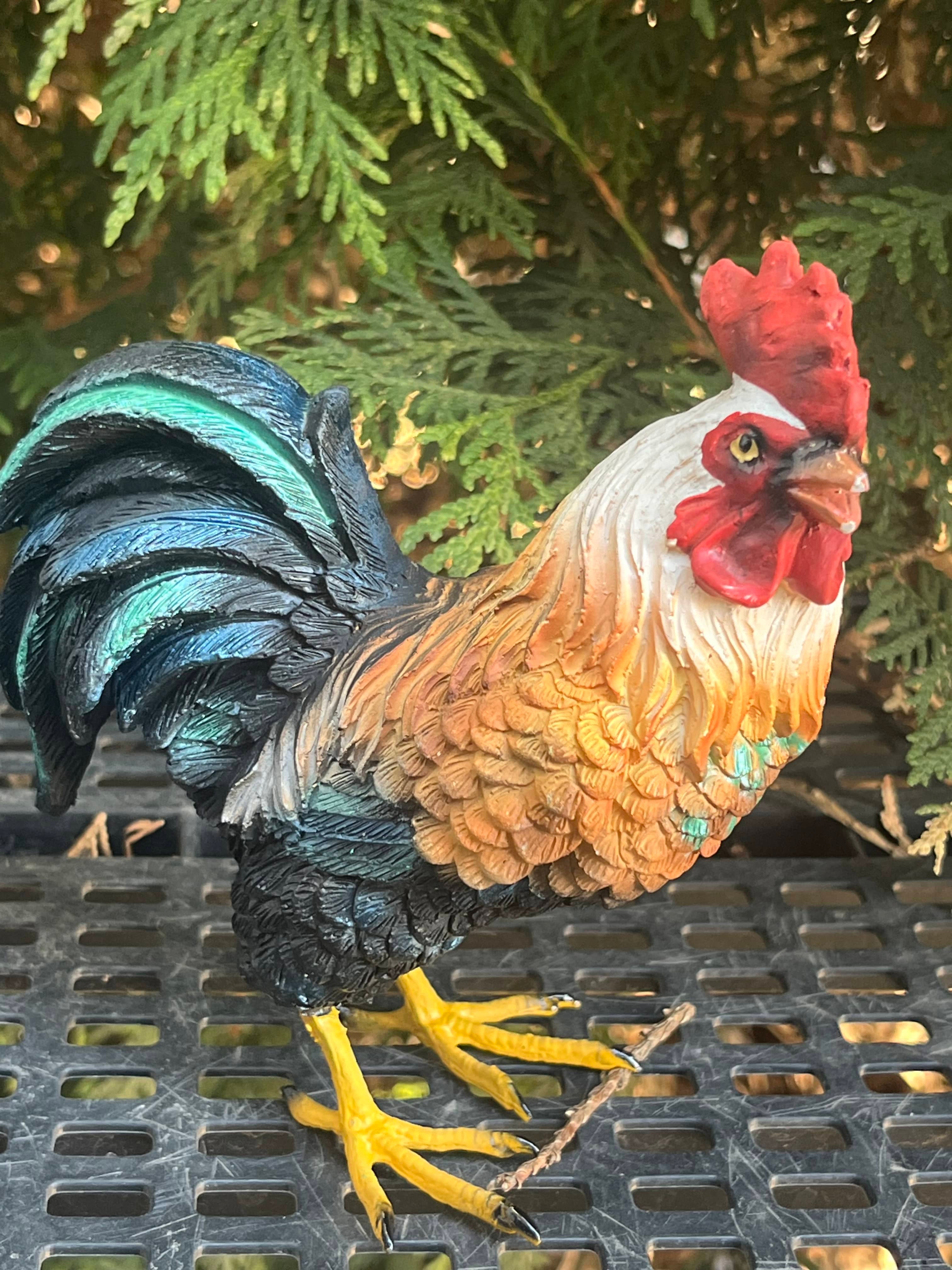 Colorful Rooster