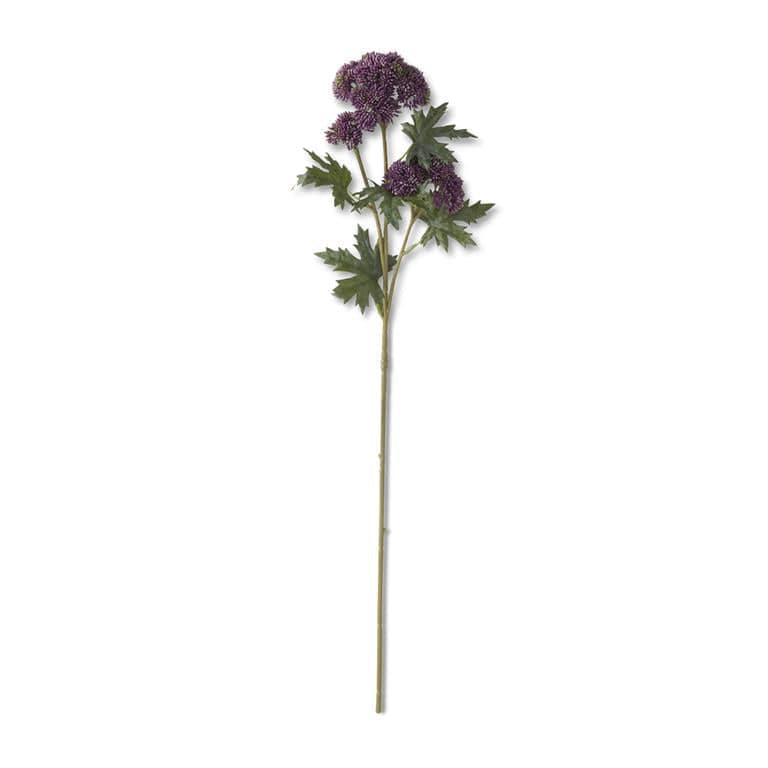 Dark Purple Sedum Stem
