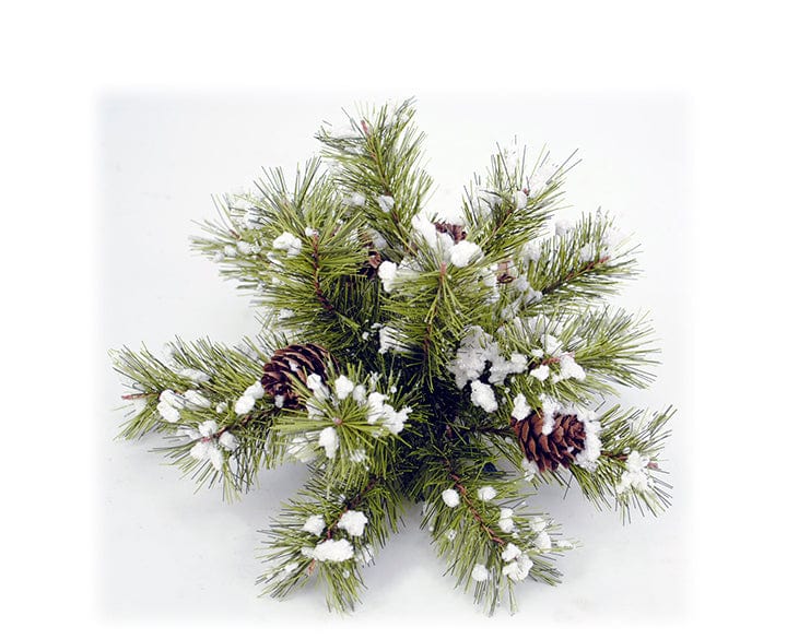 Easton Pine Half Ball Snow