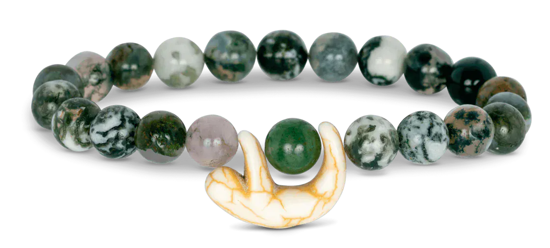 Fahlo Animal Tracking Bracelet