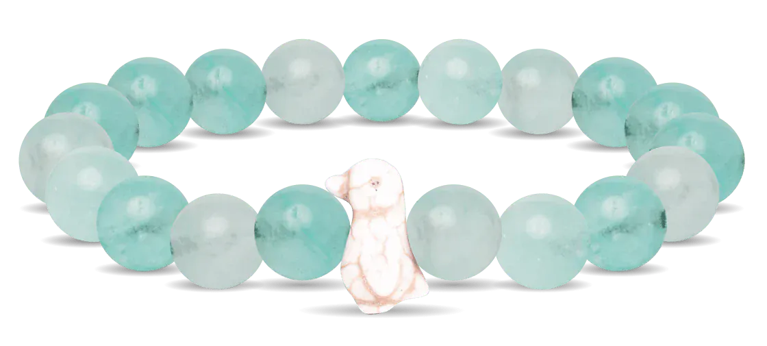 Fahlo Animal Tracking Bracelet