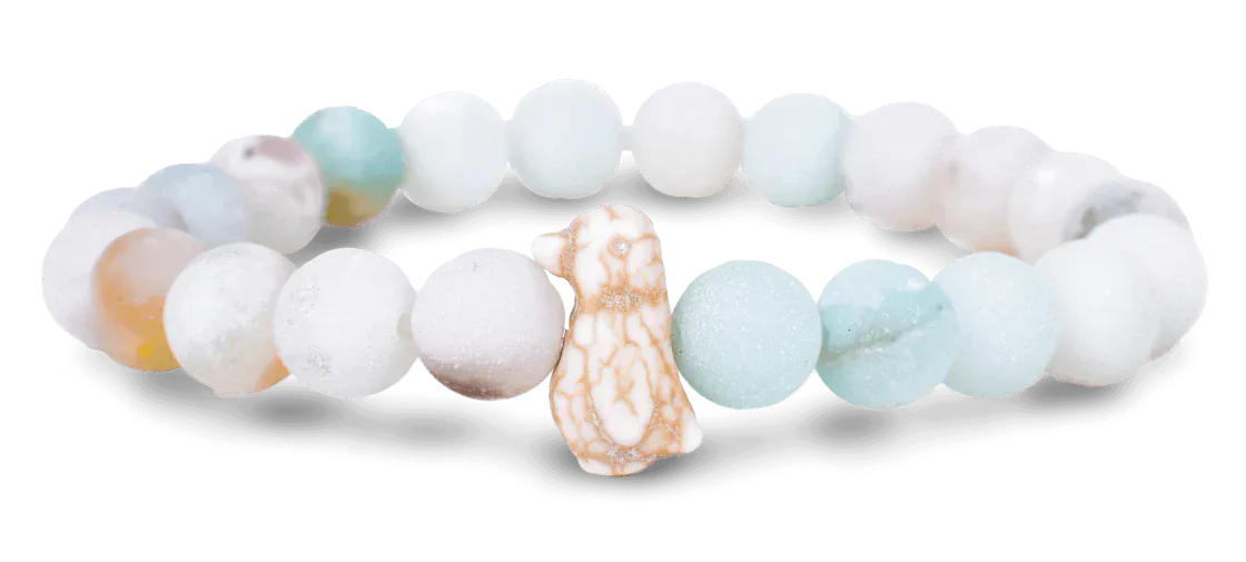 Fahlo Animal Tracking Bracelet