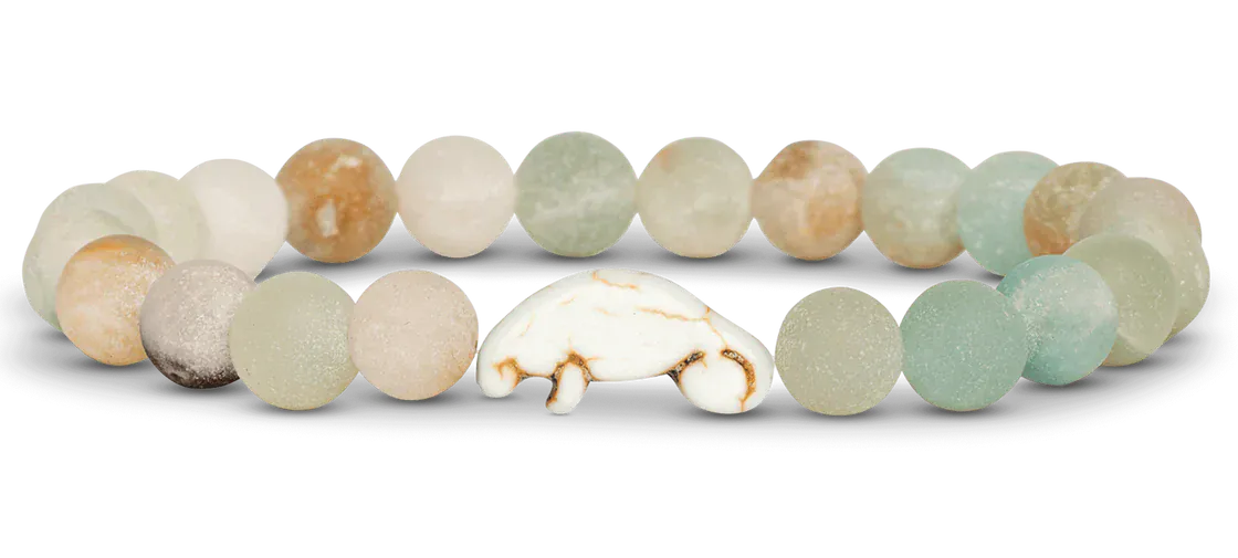 Fahlo Animal Tracking Bracelet