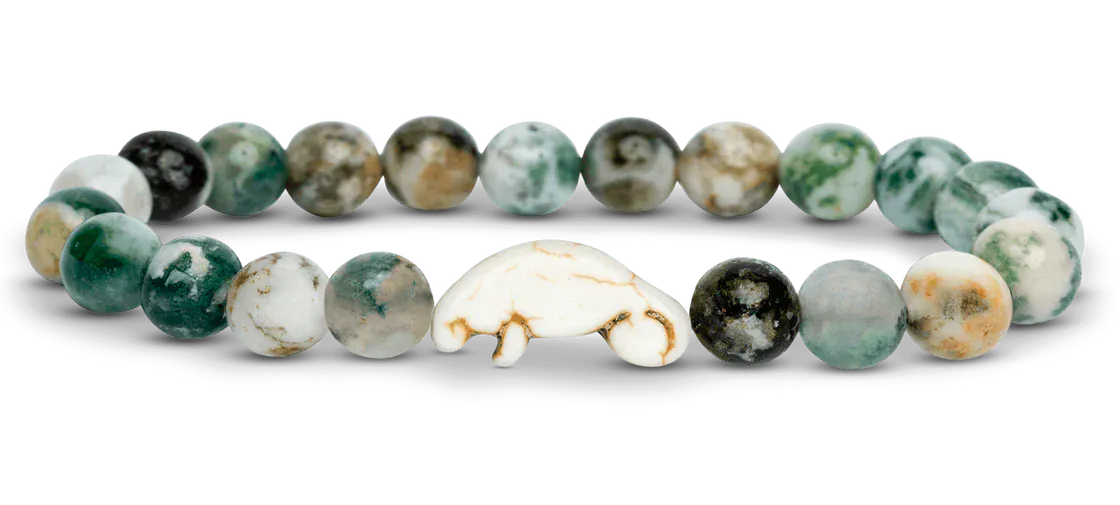 Fahlo Animal Tracking Bracelet