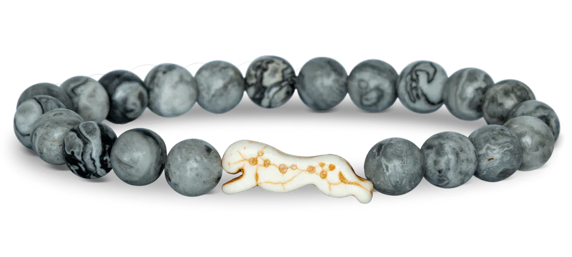 Fahlo Animal Tracking Bracelet