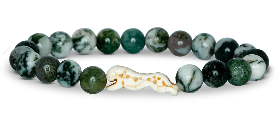 Fahlo Animal Tracking Bracelet