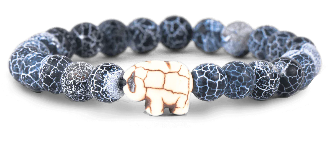 Fahlo Animal Tracking Bracelet