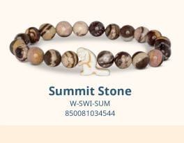 Fahlo Animal Tracking Bracelet