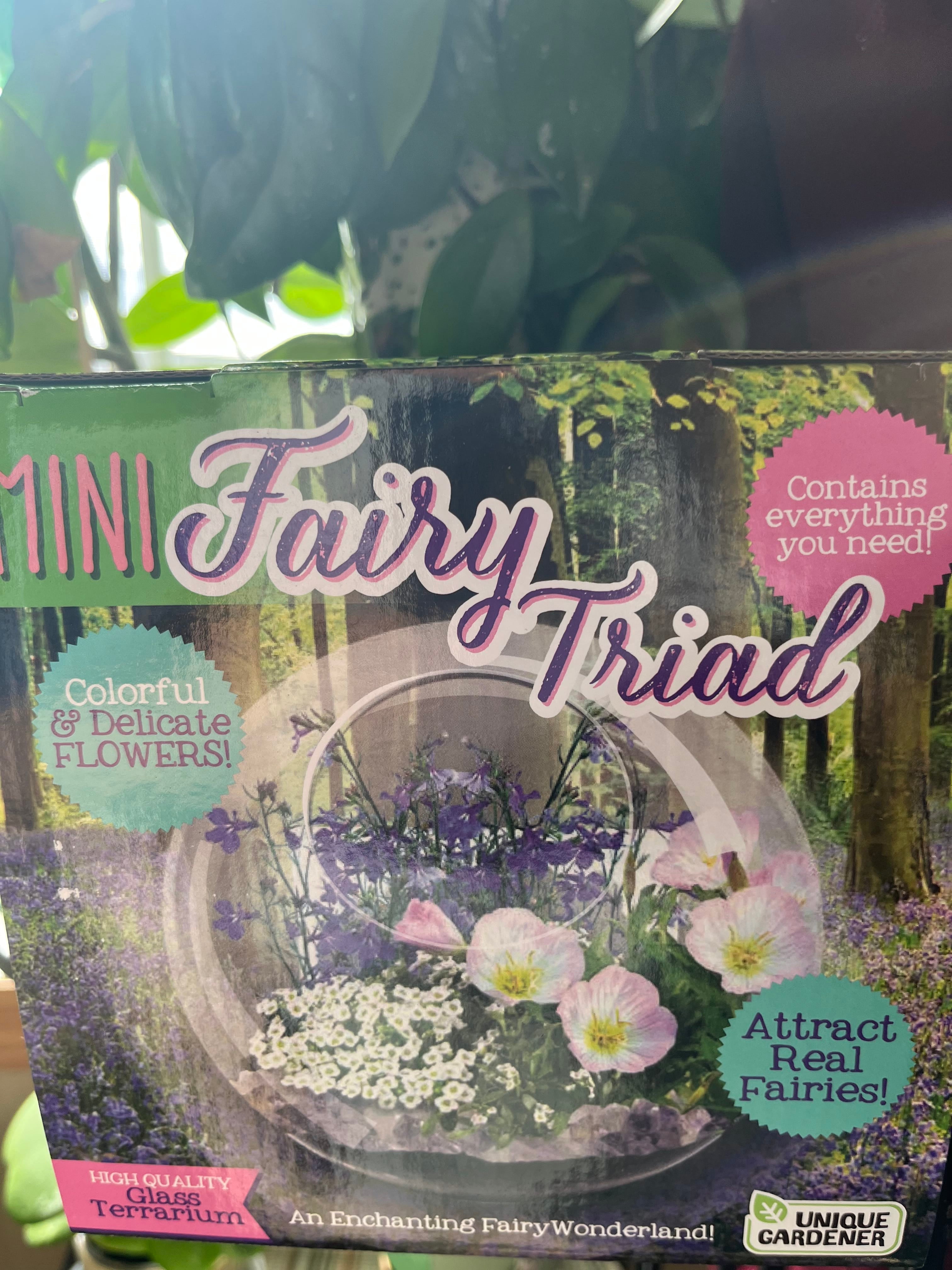 Fairy Garden Glass Terrarium