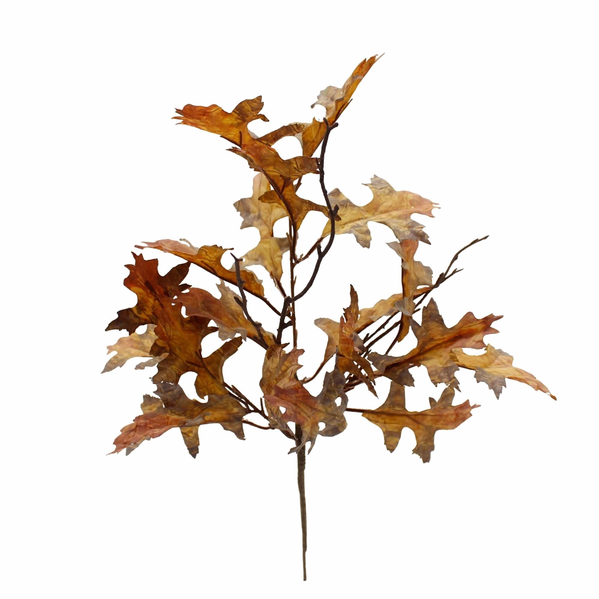 Fall Oak Pick