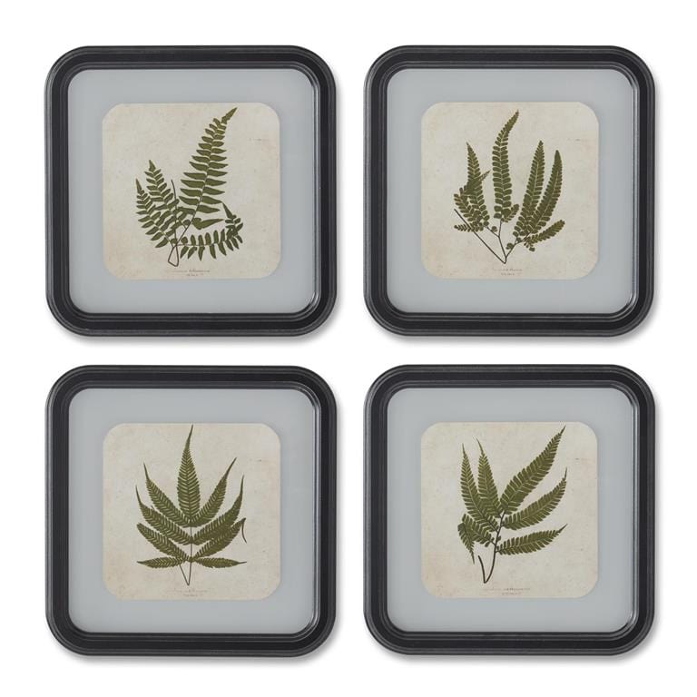 K&K Wall Art Fern in Square Black Wood Rounded Frame