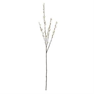 Gray Pussy Willow Stem