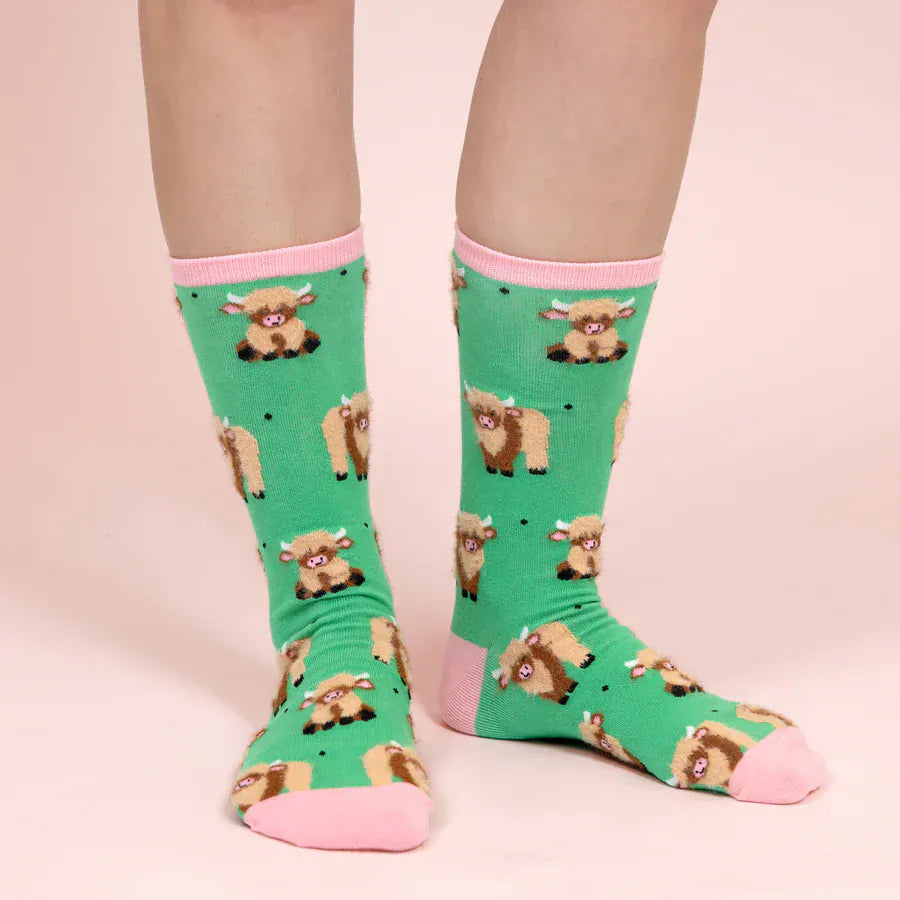 Pavilion Socks Highland Cows Unisex Socks