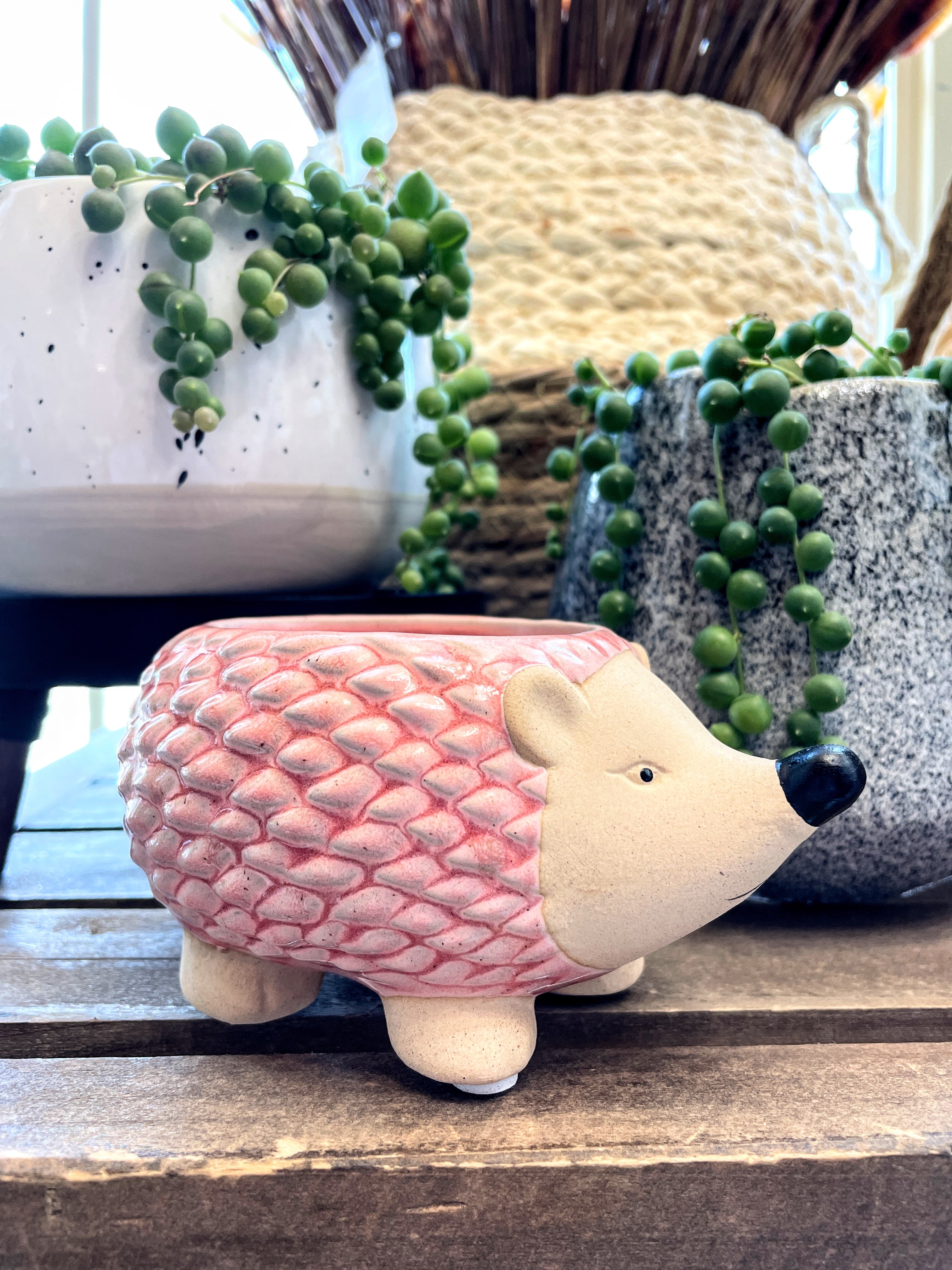 Hedgehog Mini Planter