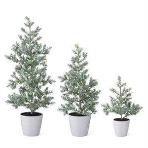 K&K Seasonal Decor Juniper Trees In White Ribbed Pot