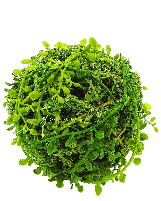 Moss Orb Ball