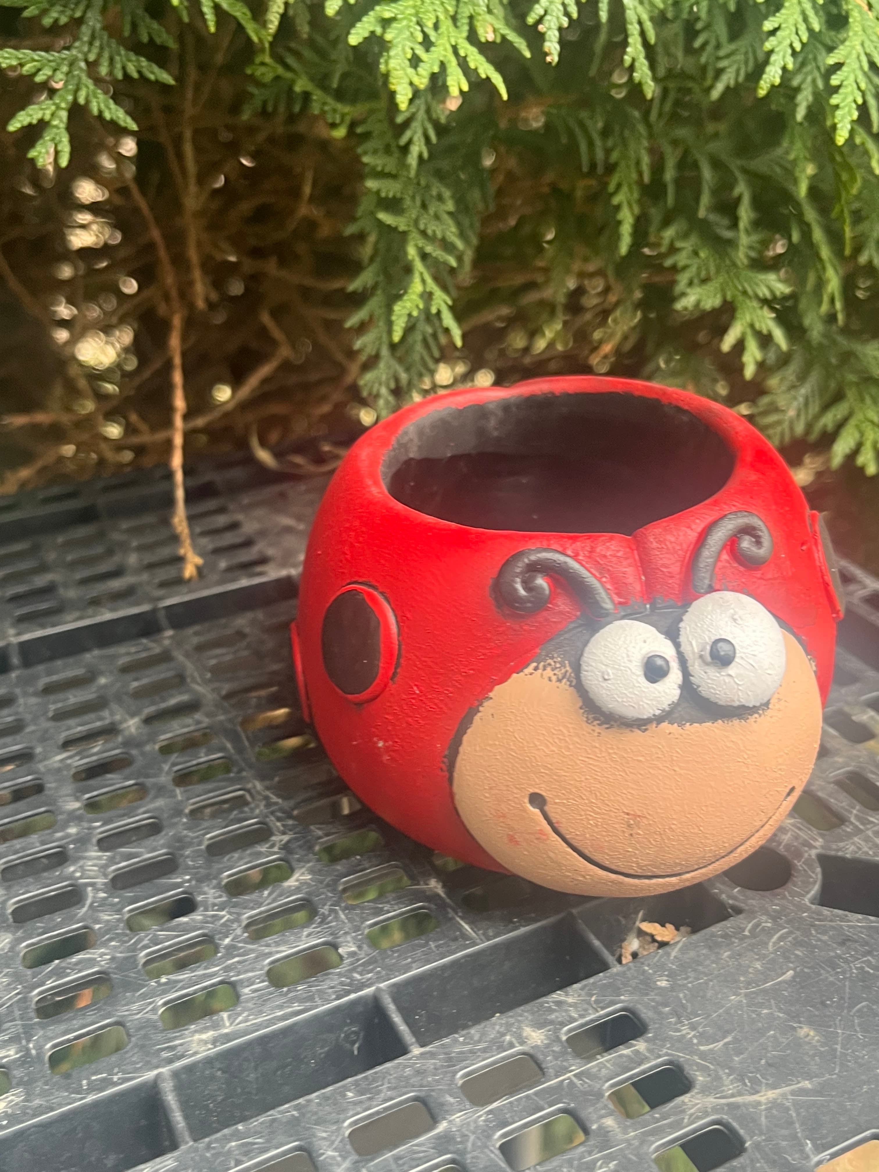 Lady Bug Planter
