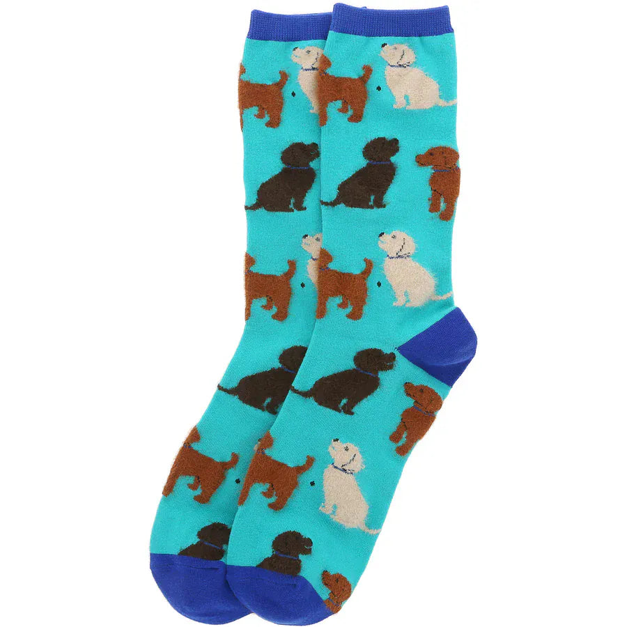 Pavilion Socks Large Dogs Socks