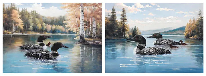Wills Home & Garden > Decor Loon Canvas Wall Art