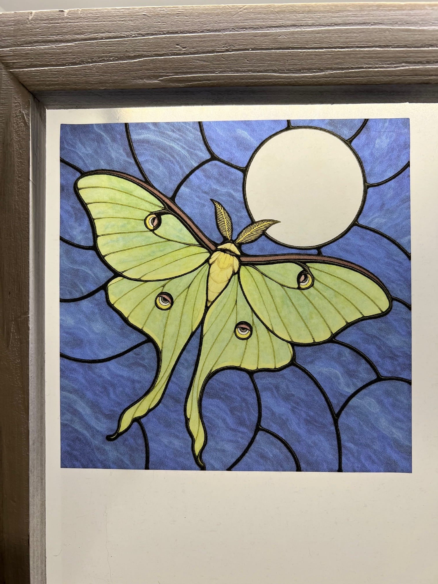 KG #63 (Kris - Cosmic Artware) Sun Catcher Luna Moth Stained Glass Window Cling