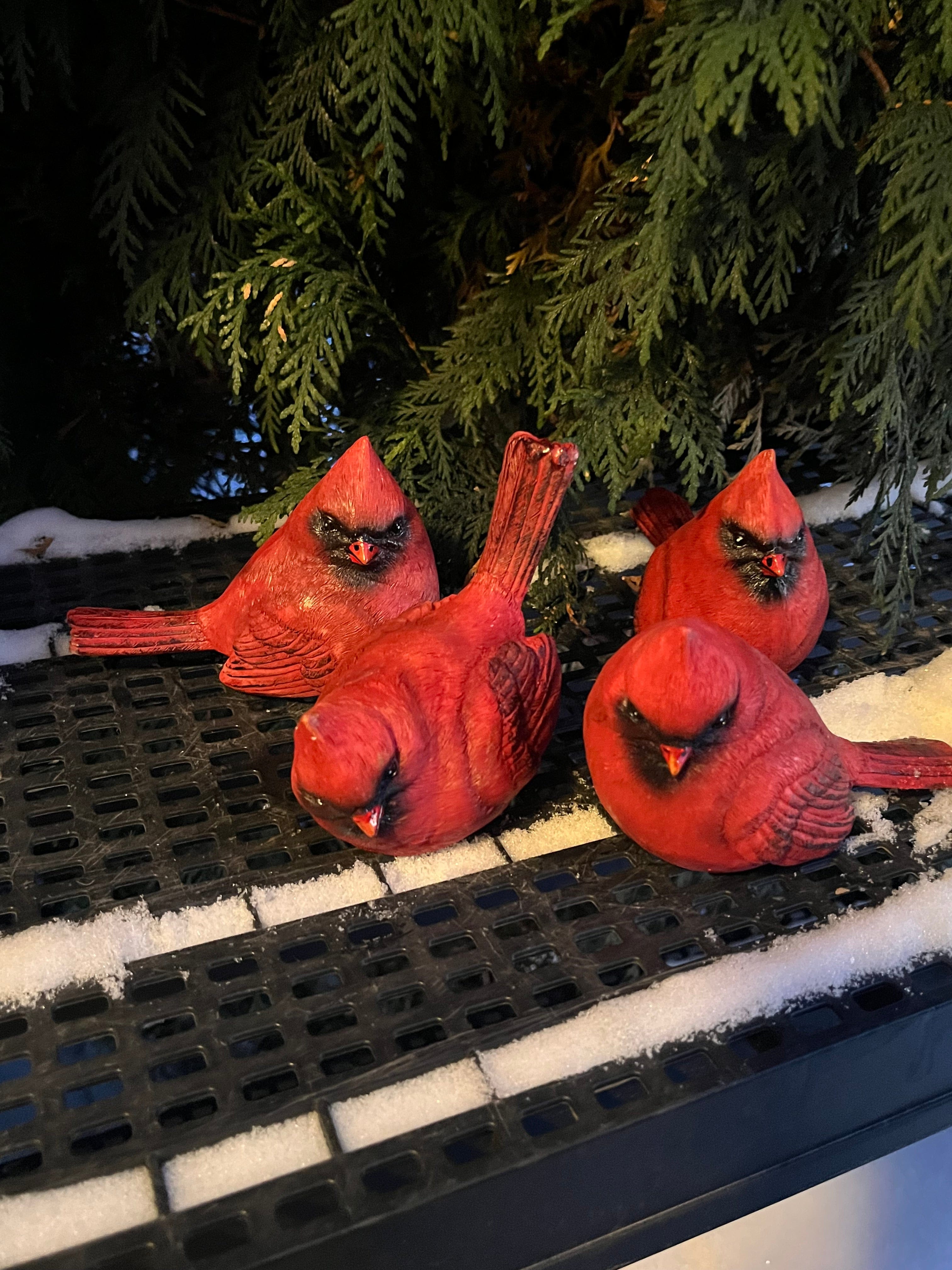 APM #4 (Andy) Male,Cardinal,red,resin Male Cardinal