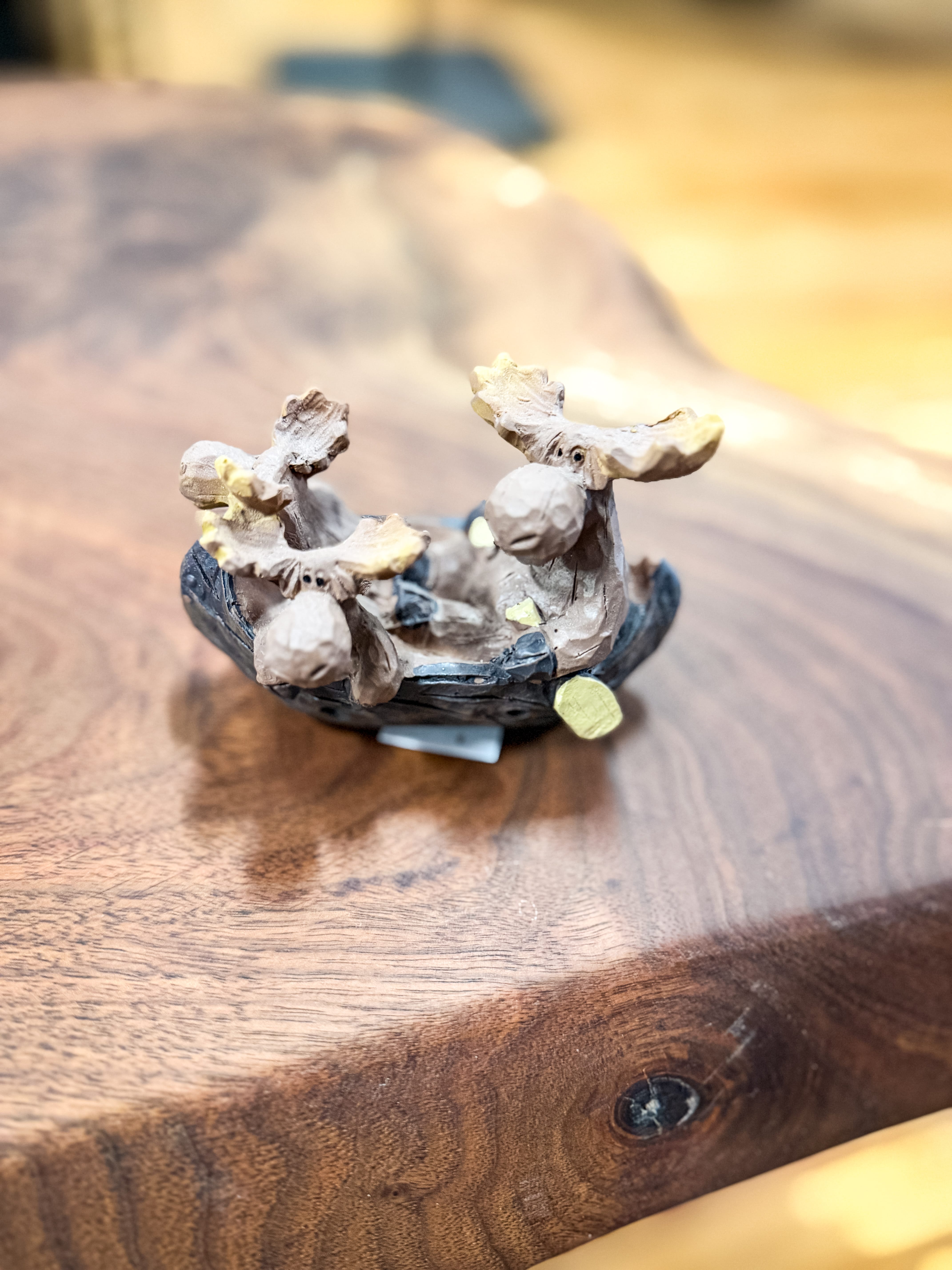 Moose in Canoe