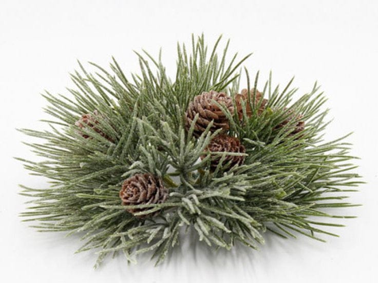 WT Collection Seasonal Decor Mugo Pine Orb