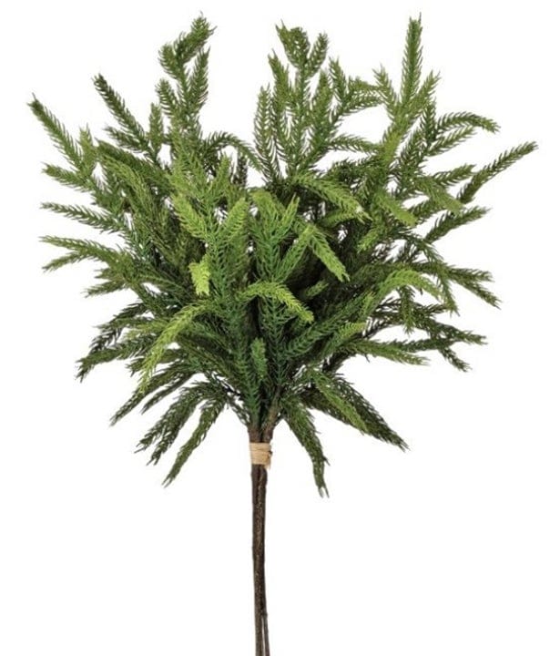Wills Seasonal Decor Norfolk Pine Bundle 17"